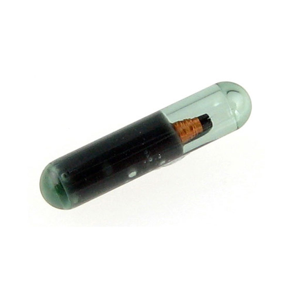 BDS TRANS CHIP ONLY MEG/CR ID48 GLASS | BDS Transponder Chips - LSC |  Complete Security Solutions - LSC Security Supplies