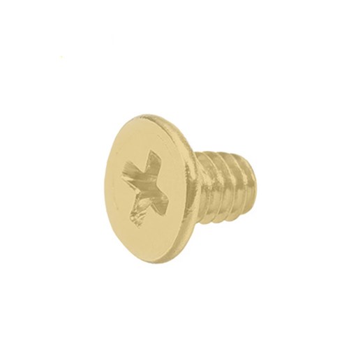 PROTECTOR 748 Series Face Plate Screw Satin Brass - 735-FPS-SBF